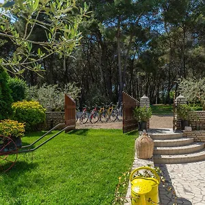  Apartman Rita